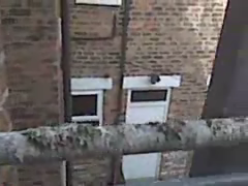 Balkon kus kovucu tel