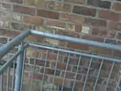 Balkon kus kovucu tel uygulama sonrasi